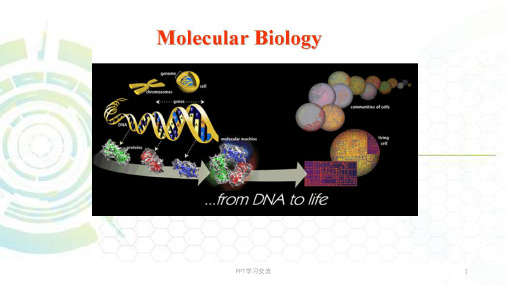第一章 分子生物学绪论课件