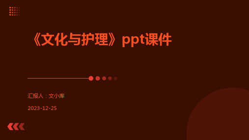 《文化与护理》ppt课件