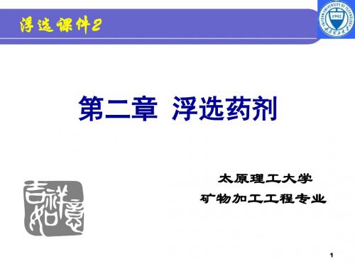 矿物加工工程-浮选药剂