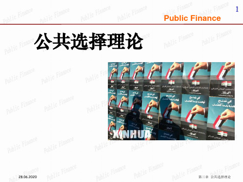 财政学第二章民主制下的投票