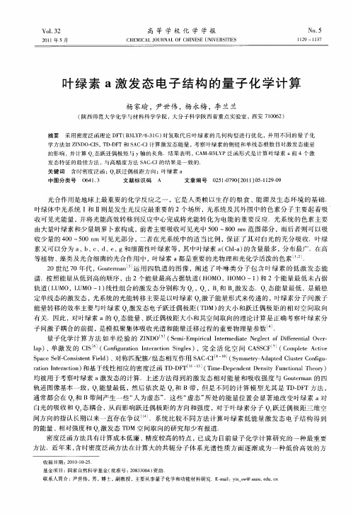 叶绿素a激发态电子结构的量子化学计算