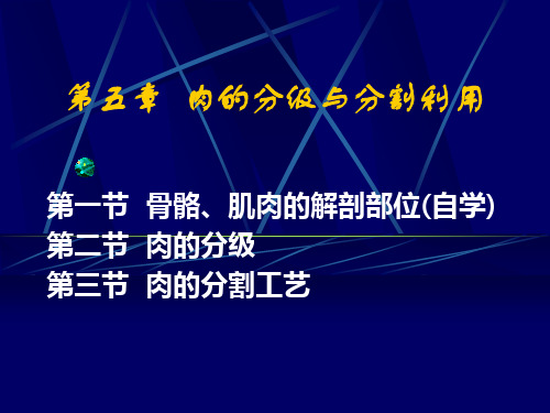 05肉的分级与分割利用scf