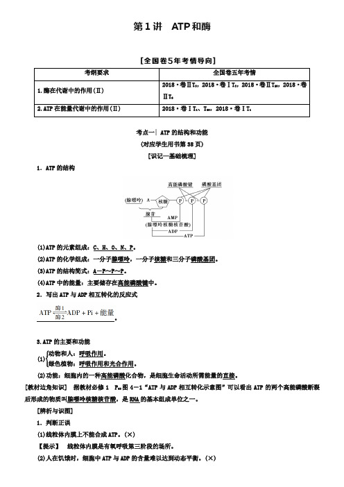 2019版高考生物一轮复习第3单元光合作用和细胞呼吸第1讲ATP和酶学案苏教版