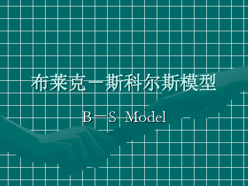 布莱克-斯科尔斯模型汇总