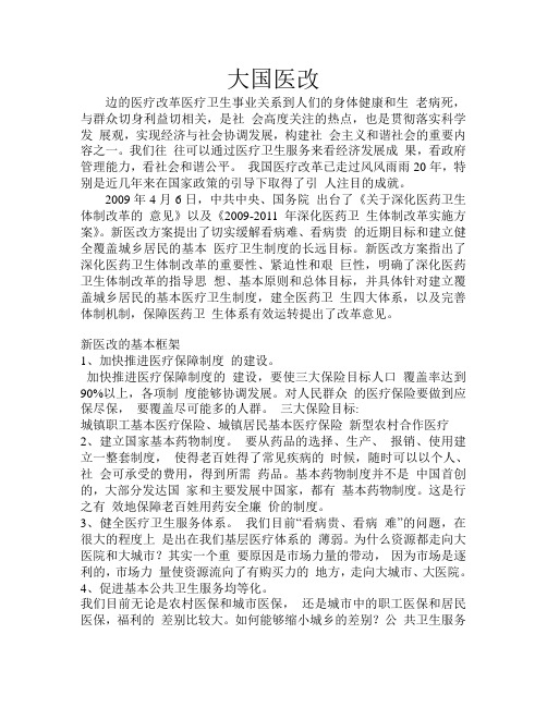 大国医改