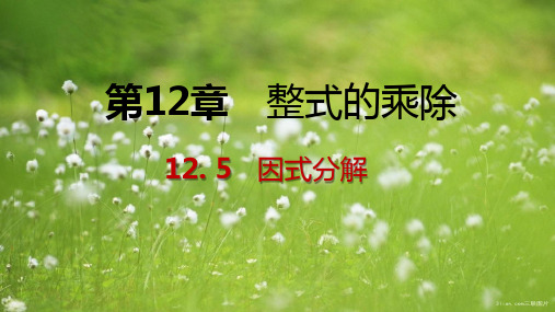 八年级数学上册第12章除12.5因式分解第3课时运用两数和差的平方公式分解因式导学课件新版华东师大版