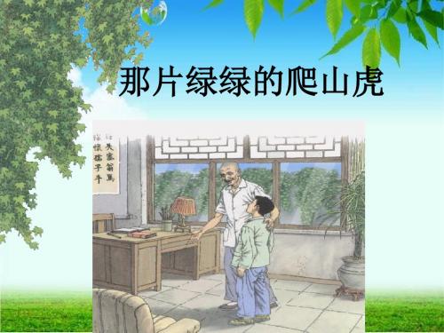 《那片绿绿的爬山虎》ppt课件