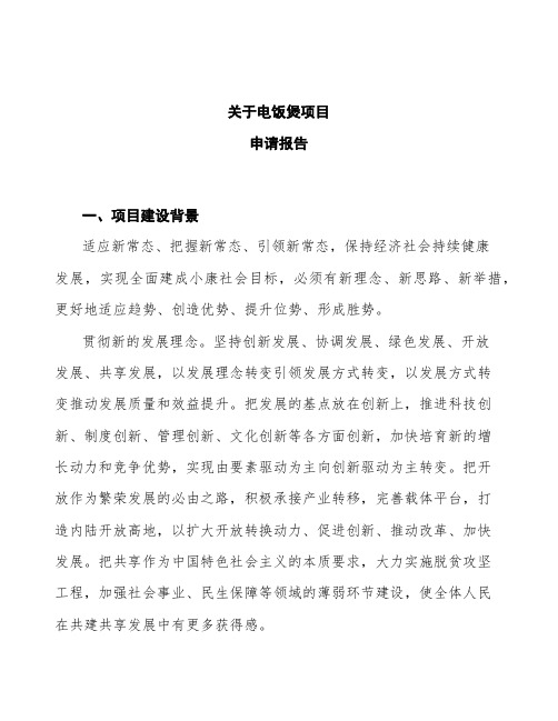 电饭煲项目申请报告