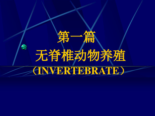 无脊椎动物养殖PPT教学课件
