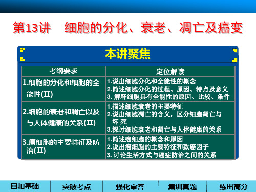 高三一轮复习课件细胞的分化、衰老、凋亡及癌变