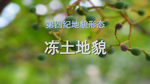 冻土(课堂PPT)