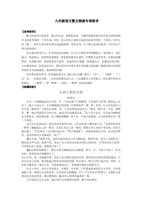 九年级语文散文阅读专项指导附答案