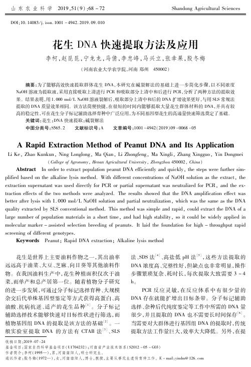 花生DNA快速提取方法及应用