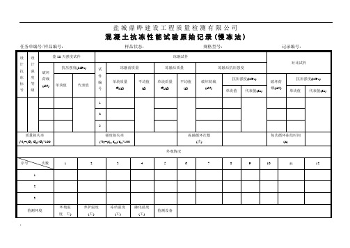 混凝土抗冻原始记录