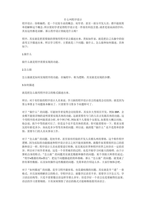 什么叫程序设计(小论文)