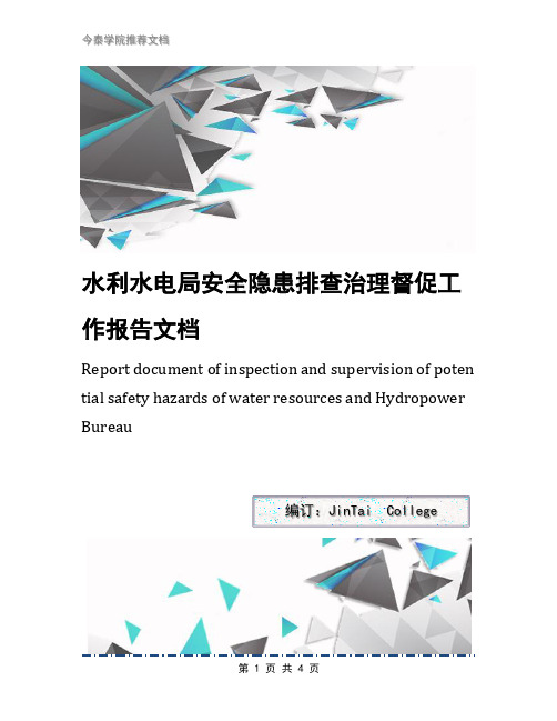水利水电局安全隐患排查治理督促工作报告文档