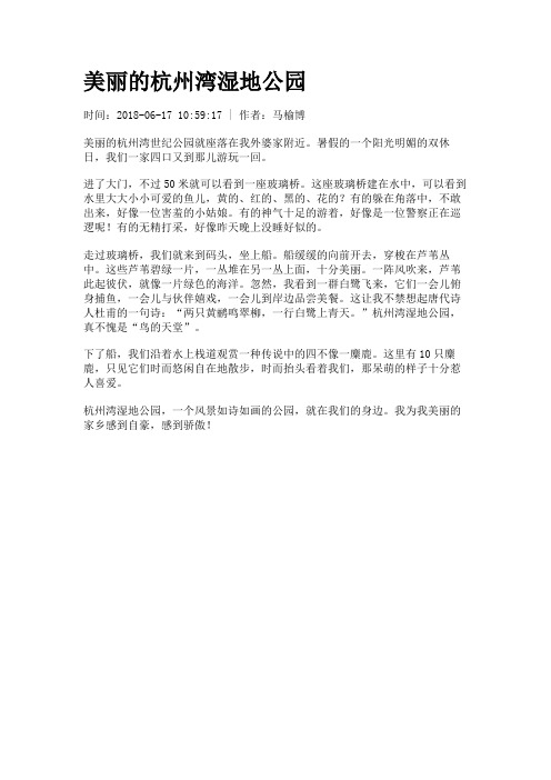 美丽的杭州湾湿地公园
