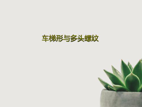 车梯形与多头螺纹共45页文档