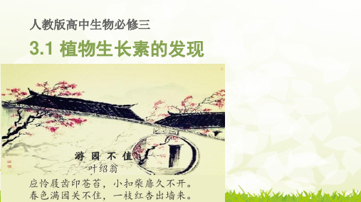 人教版高中生物必修三第3章第1节   植物生长素的发现  课件(共25张PPT)[优秀课件资料]