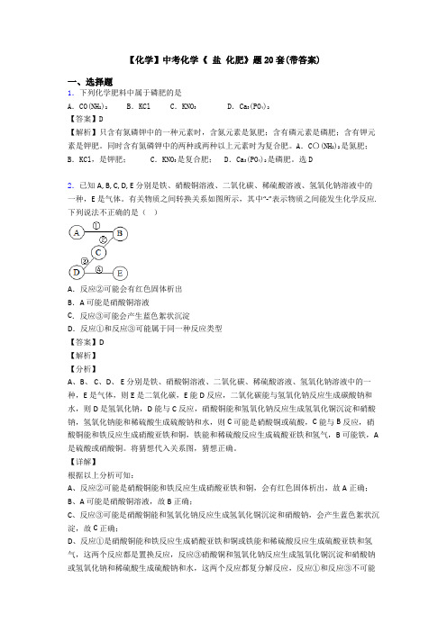 【化学】中考化学《 盐 化肥》题20套(带答案)