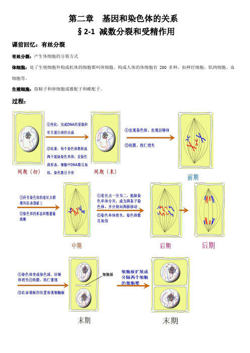 生物：2.1《减数分裂和受精作用》笔记总结