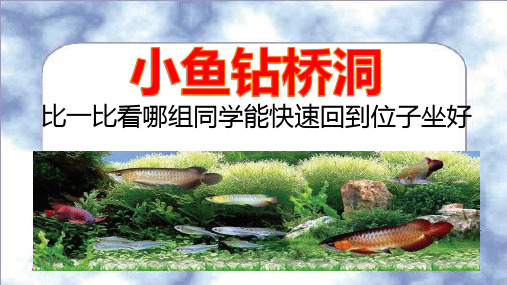 (部编版)二年级上道德与法治《大家排好队》精美课件PPT