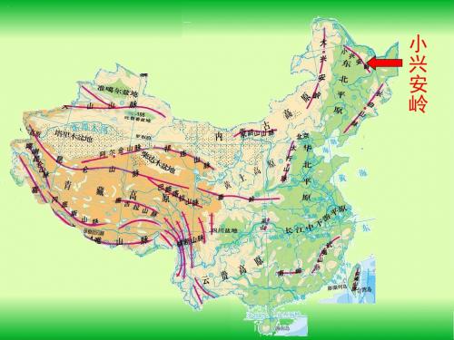 部编小学三年级上册《六单元20 美丽的小兴安岭》怀佳翠PPT课件 一等奖新名师优质公开课获奖比赛人教版
