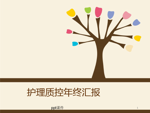 护理质控年终总结  ppt课件