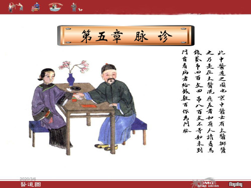 第五章  脉教学课件