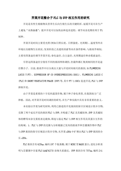 芥菜开花整合子FLC与SVP相互作用的研究