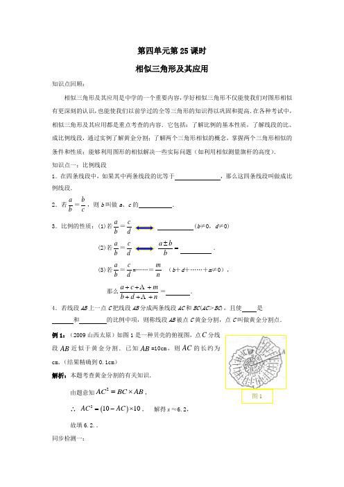 2010届中考数学相似三角形及其应用复习.doc