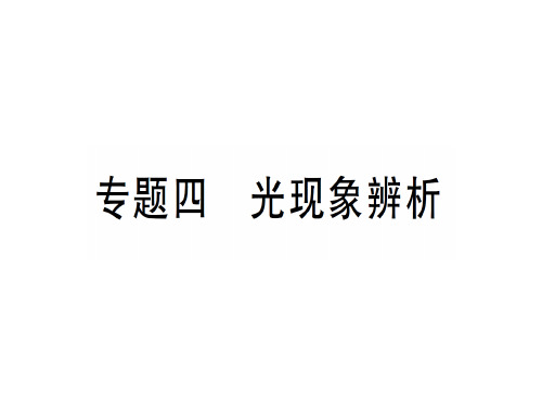 第四章 专题四 光现象辨析—2020年秋沪科版八年级上册物理课件