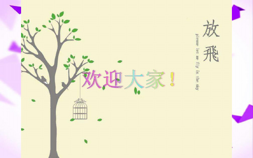 《美国的三权分立》 PPT