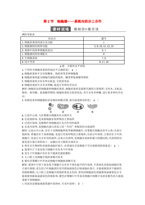 高中生物 第三章 细胞的基本结构 第2节 细胞器—系统内的分工合作练习 新人教版必修1 (1)