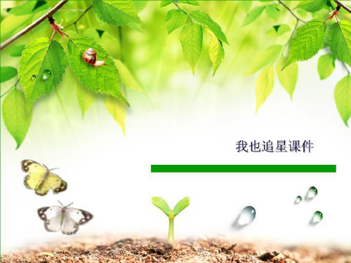 我也追星课件