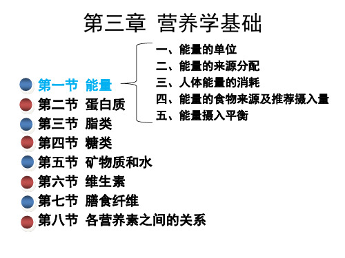 第三章 营养学基础-能量