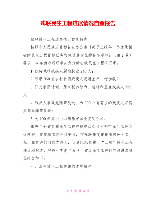 残联民生工程进展情况自查报告