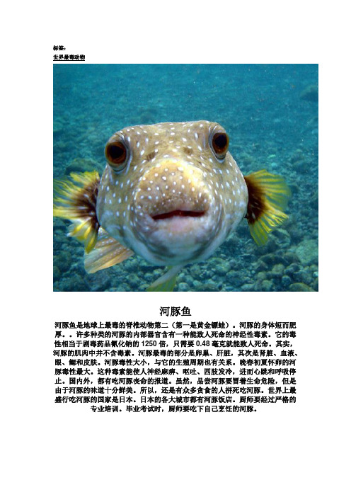 世界上最毒的生物