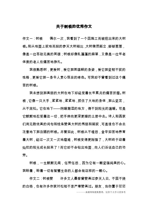 关于树根的优秀作文