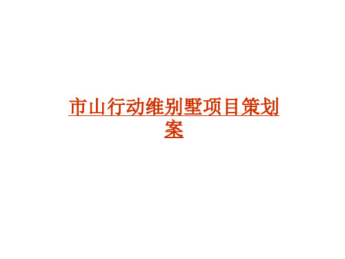 Xx市xx山行动维A别墅项目策划案