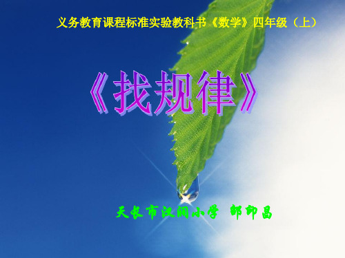 找规律.精品PPT课件