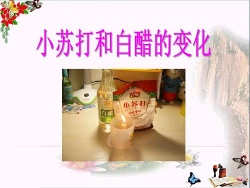 小苏打和白醋的变化_物质的变化PPT优秀课件3