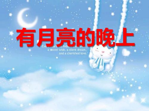 有月亮的晚上- 优秀PPT课件