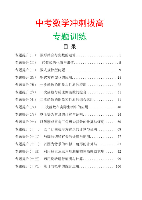 中考初三数学冲刺拔高专题训练含答案