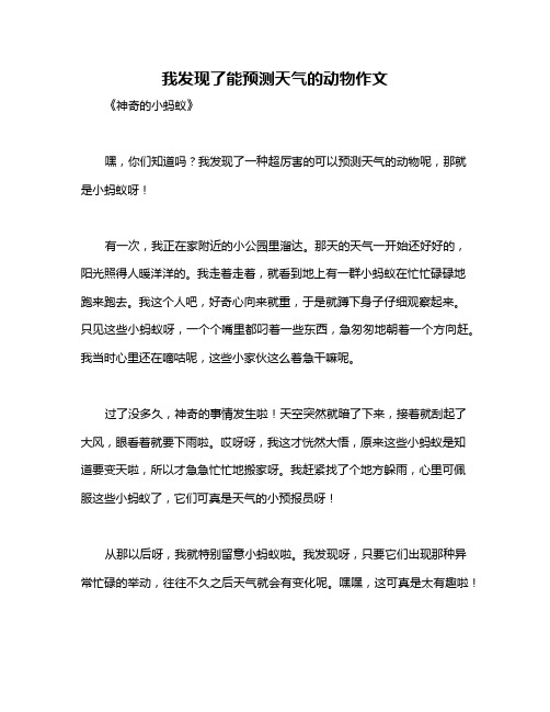 我发现了能预测天气的动物作文