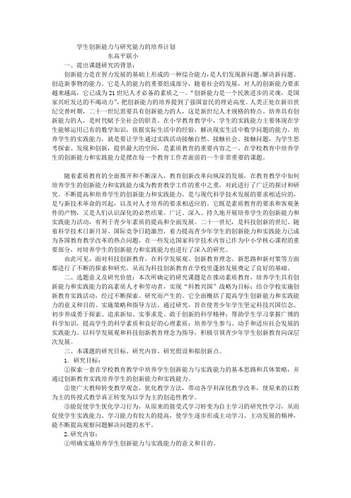 小学生创新能力与实践能力培养计划