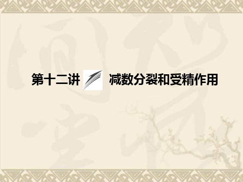 高考生物大一轮总复习 4.12 减数分裂和受精作用课件 新人教版必修1