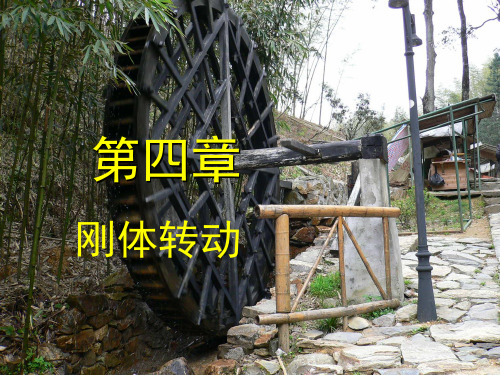 刚体1(精)