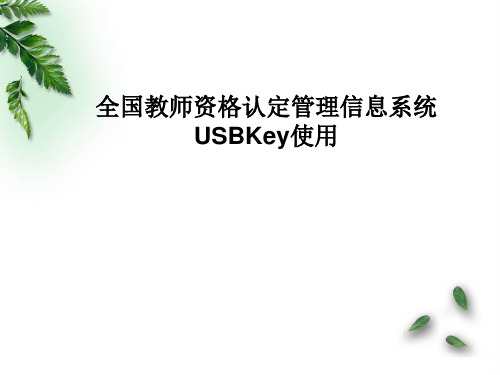 安装USBKey驱动程序