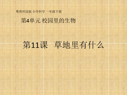 一年级下册科学课件11草地里有什么 粤教版(共17页)PPT